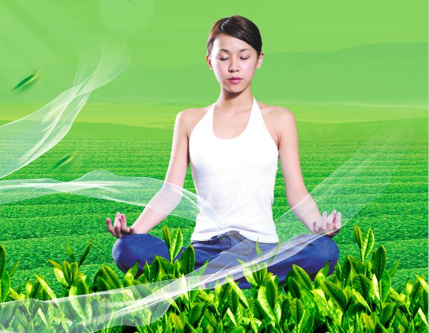 办假的发现卡声明